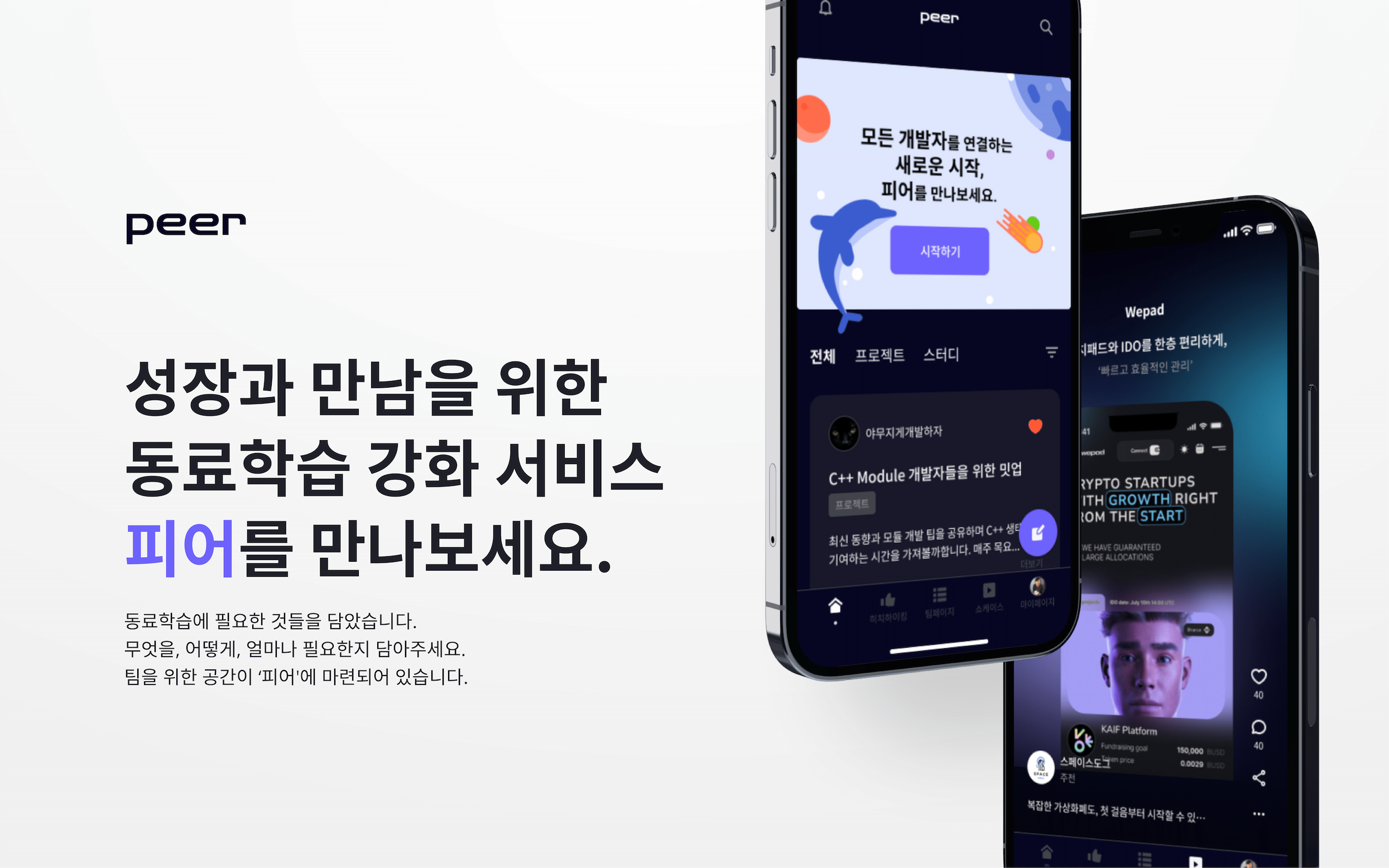Peer-Web Thumbnail